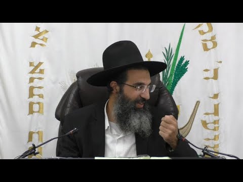 צוואה - כח' 📜 ירושה | הרב שי עובד | רביעי - פרשת נח - תשפה