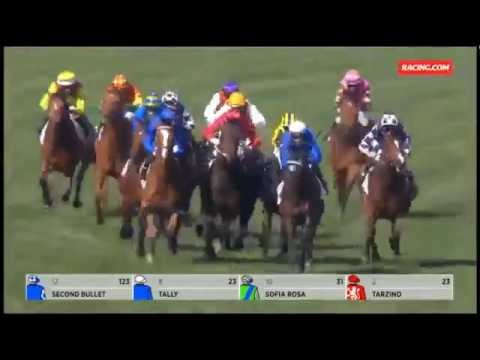 2016 TURNBULL STAKES - Hartnell