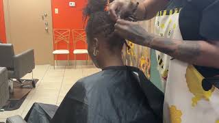 Sisterlocks braided style part1 with bang