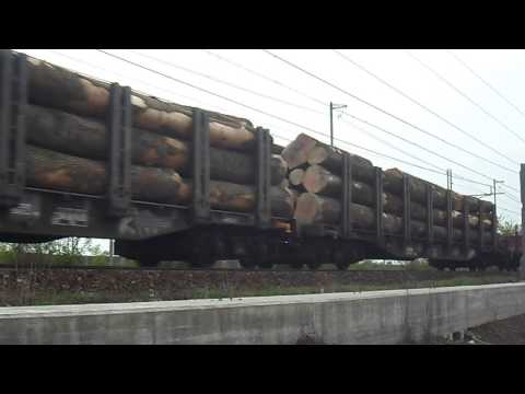 MERCIONE LEGNOSO PER LA E 655.519