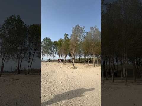 #shivrajpurbeach #bluebeach #trendingshorts #viralvideos #gujarat #exploremore #cleanbeaches✨🌊⛱️🧿