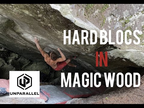 Bois in da Woods of Magic