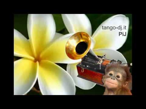 El Monito '75 Orquesta Armando Cupo