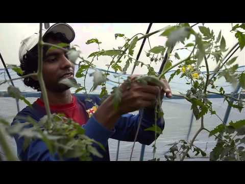 Support the First Steps in Rural Leaders' Training