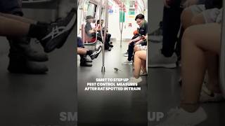 SMRT to intensify pest control measures after a rat was spotted on the MRT