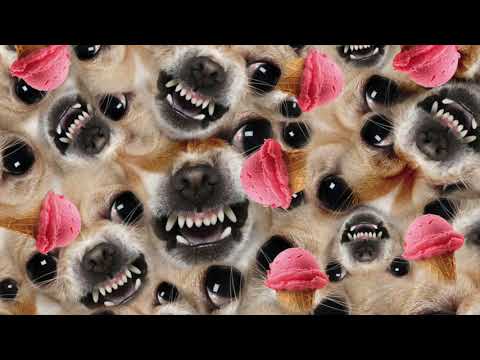 Paulor - Spaceship (Vitalic Remix)