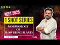 Morphology Of Flowering Plants Complete Lesson In Just 150 Minutes NEET 2025