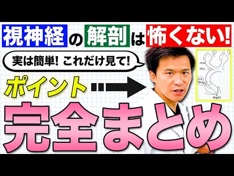 医学科 視神経障害,視野欠損,視神経乳頭異常について分かりやすく解説します！医学生の誰もが苦手な視神経障害を完全マスター！【神経解剖学】