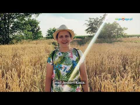 Obrazek poglądowy filmu YouTube