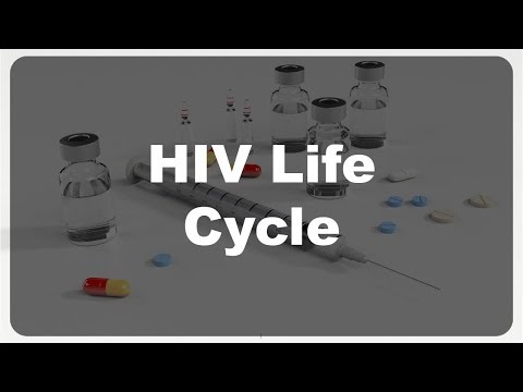 HIV life cycle explained #19