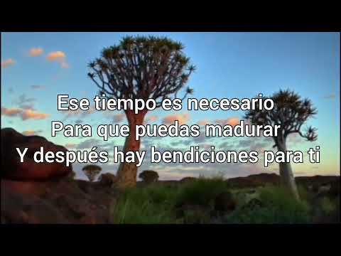 Yo cuido de ti (cover)