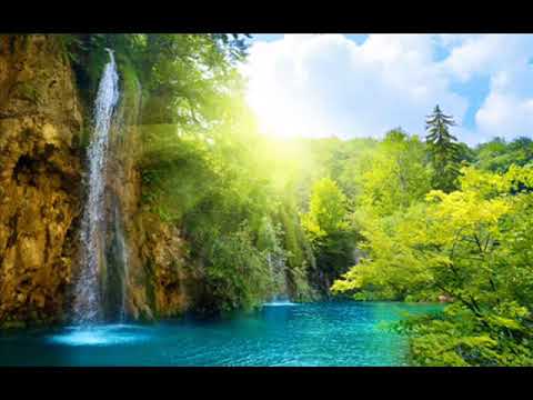 Brian Weiss  - Regresión a vidas pasadas (voz original -   español)