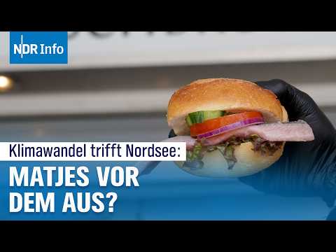 Video Thumbnail: Fisch mit Zukunftsangst: Was wird aus dem Glückstädter Matjes? | NDR Info