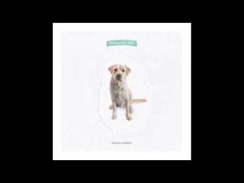 Nicolò Carnesi -  Fotografia