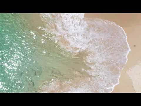 A Meditation on the Healing Stream of Divine Life