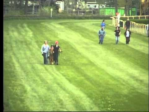 LL, 1. 5. 2016, Pony liga