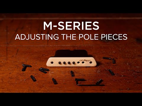 LR Baggs M1 | Passive Soundhole Pickup. New with Full Warranty! image 2