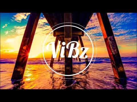 DJ ViBz ft. DJ x7igerz & Big Yamo - Noche en la playa (Remix)