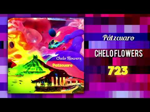 Video de la banda Chelo Flowers