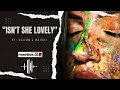 Isn't She Lovely - Stevie Wonder ( Callum J Wright ) Acoustic Guitar Cover | #music #musiclover