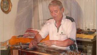 Paul Anka   A steel guitar and a glass of wine