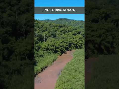 What If This Was Yours? 🇵🇷 | 100+ Acres in Puerto Rico