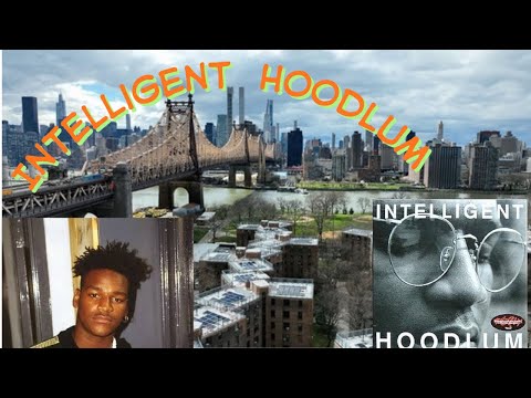 Before Illmatic… There Was Intelligent Hoodlum Queensbirdge Classics