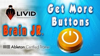 Video thumbnail for Livid Brain Jr More Buttons. DIY midi controller. How to add buttons on the analog control strip by BigJerr