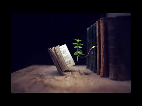 Einsigartig - Auf euch hören