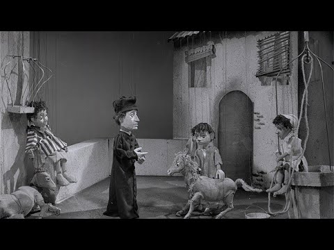 Pepino - Das kleine Wunder