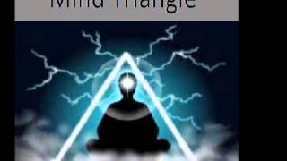 Mind Triangle - swamp water
