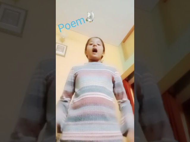 Story recitation by kids I Sunbeam World School Live I India&rsquo;s Best 100% Online School