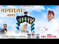 LETEST NEW JAGER 2022 NAGRAJA JAGER BY ANIL DURYAL JOTRA FILMS PRAJENTS
