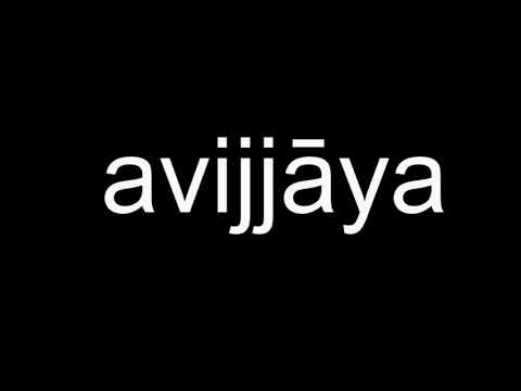Avijja Sutta (Pāḷi/English)