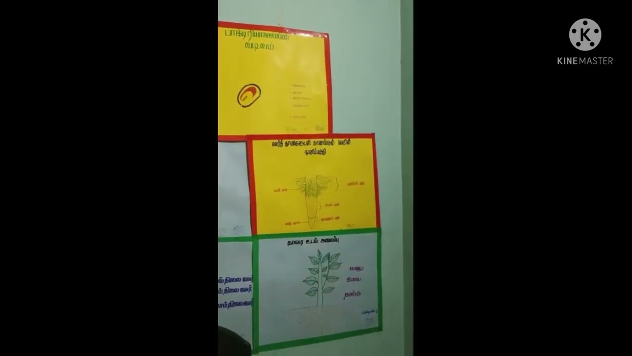 B.Ed Biological science Commision (Practical) Chat works || Flash cards|| Working Models ||