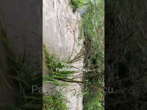Muita água no povoado do Pastinho Tanhaçu-ba. #shorts