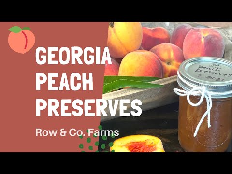 GEORGIA PEACH PRESERVES