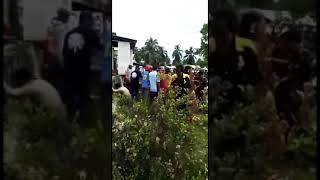 preview picture of video 'Harimau Berkeliaran di Kolong Rumah, Warga Pasang Perangkap'