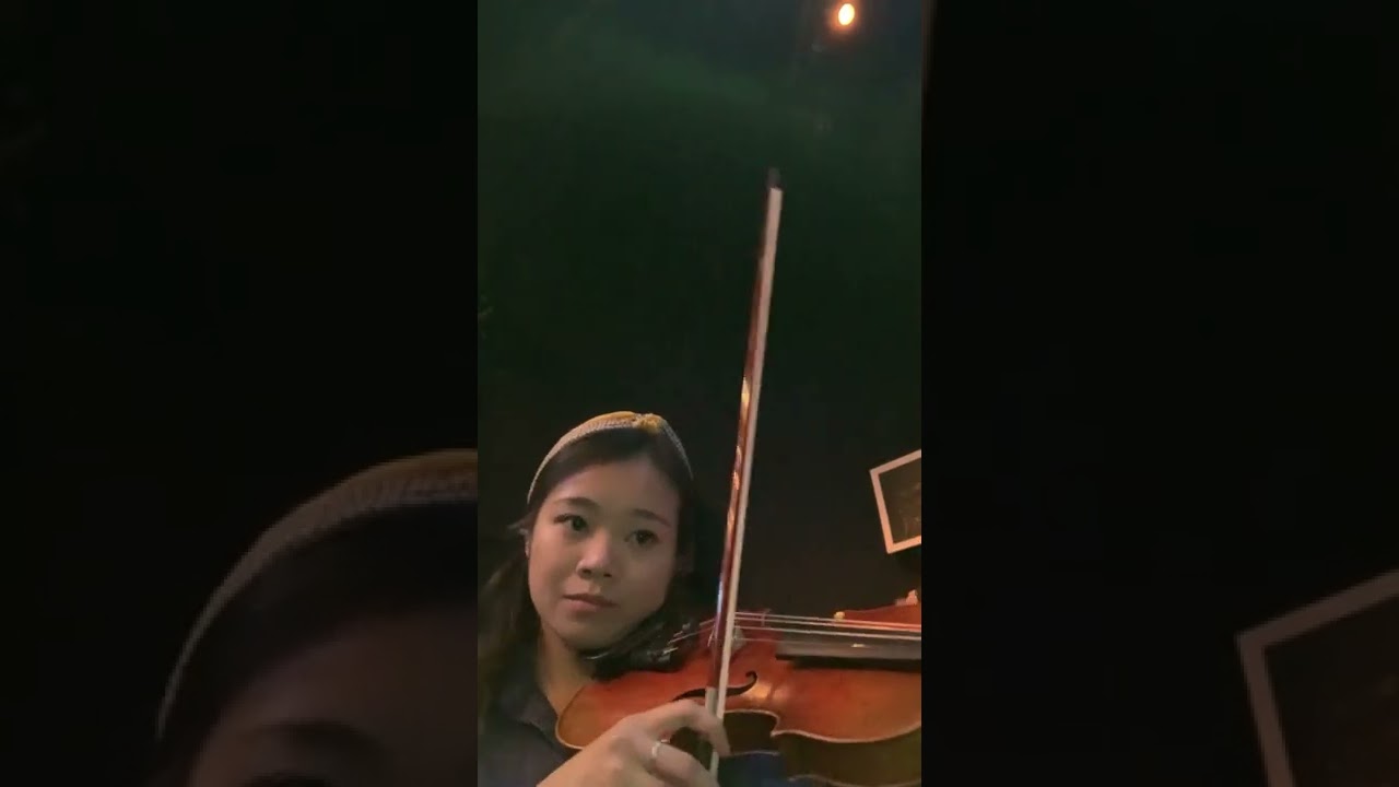 Promotional video thumbnail 4 for Violinist, Diana Tang