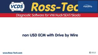 How to do the Throttle Body Alignment with VCDS - Originaldiag.com