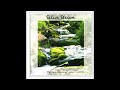 Llewellyn - Silver Stream