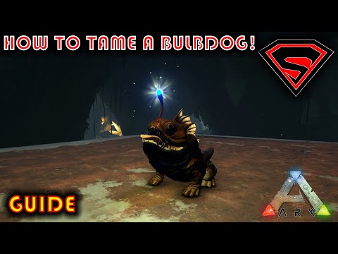 ARK HOW TO TAME A BULBDOG 2020 - EVERYTHING YOU NEED TO KNOW ABOUT TAMING A BULBDOG