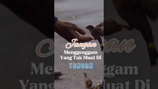 Download lagu Jangan Menggenggam Yang Tak Muat Di Tangan #katakatabijak #quotes #shorts mp3 Download lagu Jangan Menggenggam Yang Tak Muat Di Tangan #katakatabijak #quotes #shorts mp3