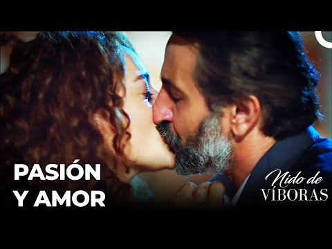 Noche Romántica De Ahdad Y Besime - Nido De Víboras