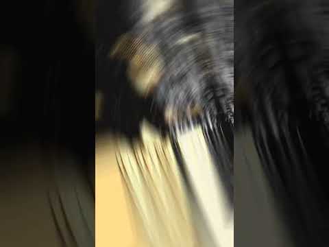 🔥 K1LL3R7HR047 🔥 315R3G3N 🔥 Z4U83R3L3F4N7 🔥