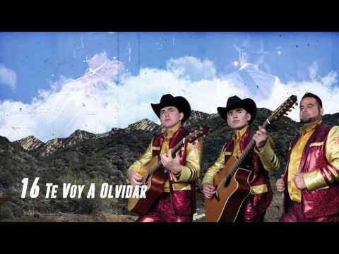 Te Voy A Olvidar - Los Plebes del Rancho de Ariel Camacho - DEL Records 2016