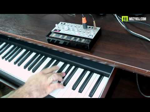 Korg Volca Bass Song in real time