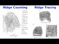 Fingerprint Ridge Counting And Ridge Tracing