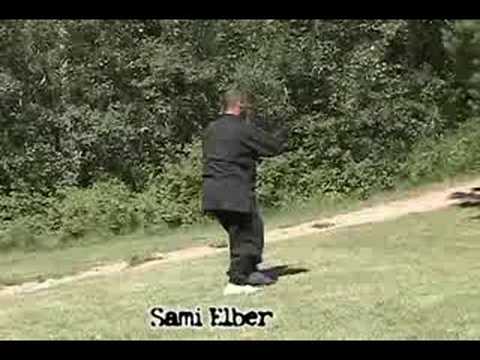 Drunken Style Form 2 Demo