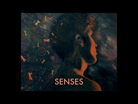Senses - Seven Eyes